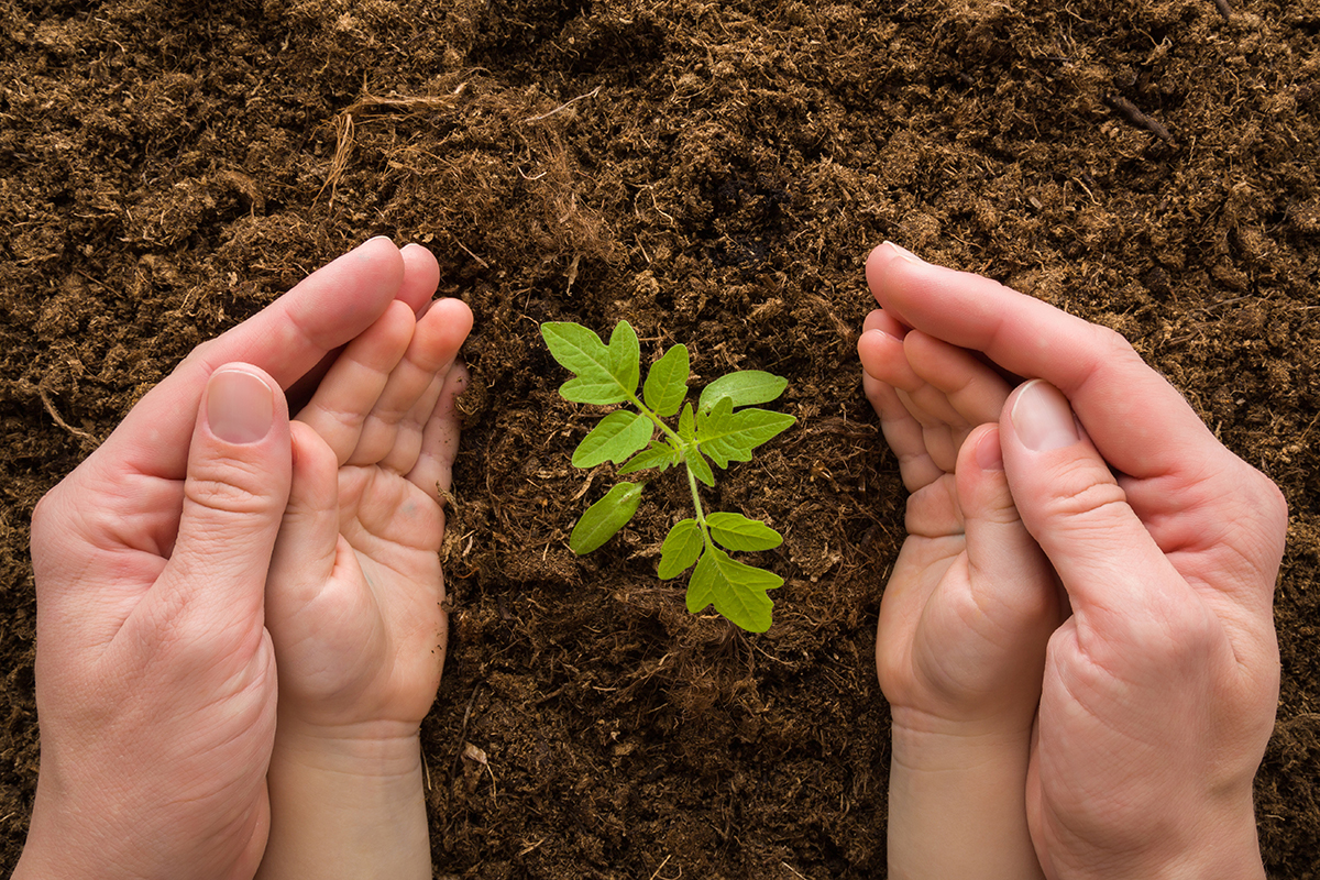 Standing Rock Land Regeneration Case Study Videos Mother Earth News